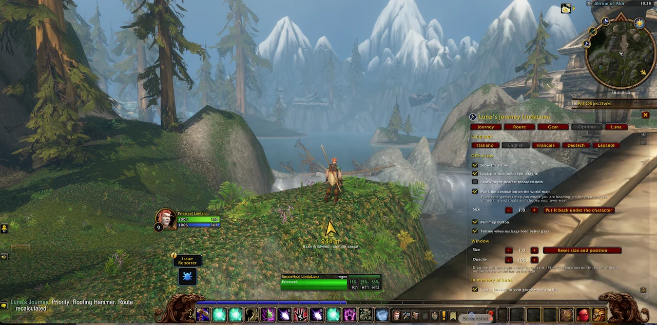 In game: the Options tab with languages, the GPS arrow, gear alerts and window settings