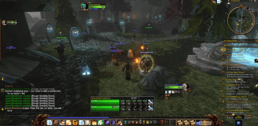 In game in Auberdine: a party of two with the SmartHeal frame at the bottom of the screen